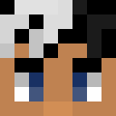 Image for Druve Minecraft Player