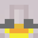 Image for DuckNotDuck Minecraft Player