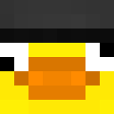 Image for DuckyTheCat Minecraft Player