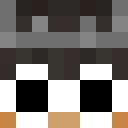 Image for Duzel Minecraft Player