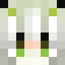 Image for EAHH Minecraft Player