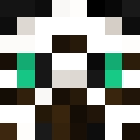 Image for EZebra Minecraft Player