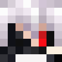 Image for EinzNico Minecraft Player