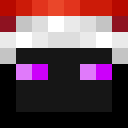 Image for Electard Minecraft Player