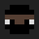 Image for Electee Minecraft Player