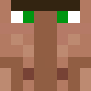 Image for Electioneering Minecraft Player