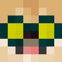 Image for EmperorOfBrazil Minecraft Player