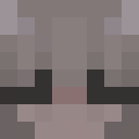 Image for Enomi Minecraft Player