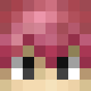 Image for Ente411 Minecraft Player