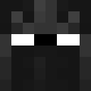 Image for Erioon Minecraft Player