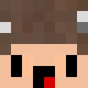 Image for Ettipe Minecraft Player