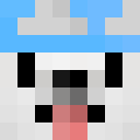 Image for Everesttttt Minecraft Player