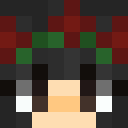 Image for F2C Minecraft Player