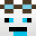 Image for FAASTU Minecraft Player