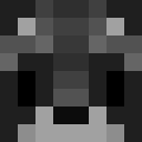 Image for FNZX Minecraft Player