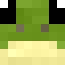 Image for FROGUSS Minecraft Player