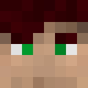 Image for FTZE Minecraft Player