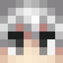 Image for FZT Minecraft Player