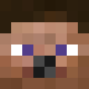 Image for Faschking Minecraft Player