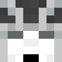 Image for FastestPlayer Minecraft Player