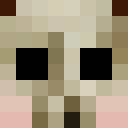 Image for FennecMC Minecraft Player