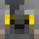 Image for Fenuris Minecraft Player