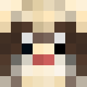 Image for Ferretts Minecraft Player