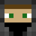 Image for Fiitz Minecraft Player