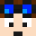 Image for FinPlayz Minecraft Player