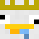 Image for FisTheDucc Minecraft Player