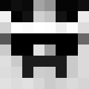 Image for Fisk9 Minecraft Player