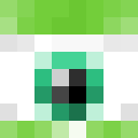 Image for Fl1pper Minecraft Player