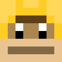 Image for FlMonkey Minecraft Player