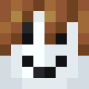 Image for Flechaa Minecraft Player