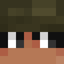 Image for Fleshsticks Minecraft Player