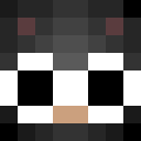 Image for Flexions Minecraft Player