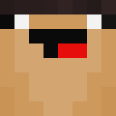 Image for Flixio Minecraft Player