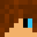 Image for Flok_ Minecraft Player