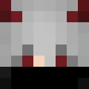 Image for Flokzin Minecraft Player