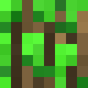 Image for Floney Minecraft Player