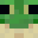 Image for Flooss Minecraft Player