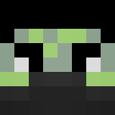 Image for Flosii Minecraft Player