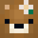 Image for Flouer Minecraft Player