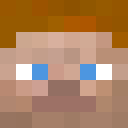 Image for FlyBiird Minecraft Player