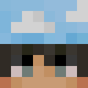 Image for Flyins Minecraft Player