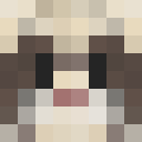 Image for FoCluS Minecraft Player