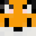 Image for Foxygamer22 Minecraft Player