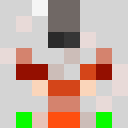 Image for Fr1xZ Minecraft Player