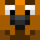 Image for Framuga Minecraft Player