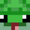 Image for Franklinlatortue Minecraft Player